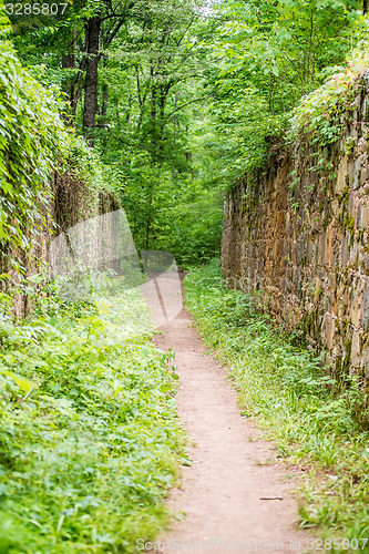 Image of scenes around landsford canal state park in south carolina