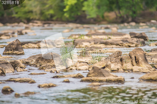 Image of scenes around landsford canal state park in south carolina