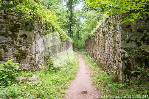 Image of scenes around landsford canal state park in south carolina