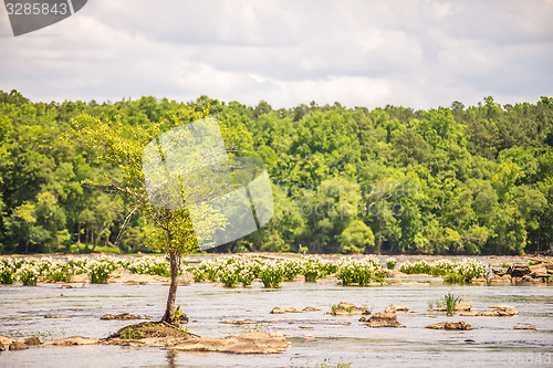 Image of scenes around landsford canal state park in south carolina