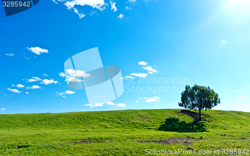 Image of summer landscape