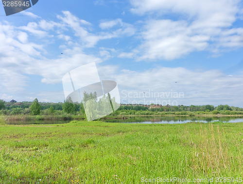 Image of summer landscape