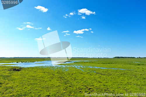 Image of summer landscape