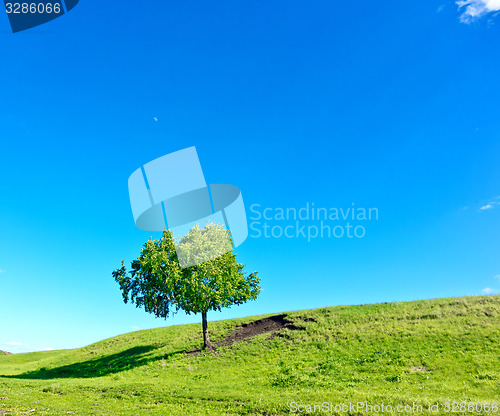 Image of summer landscape