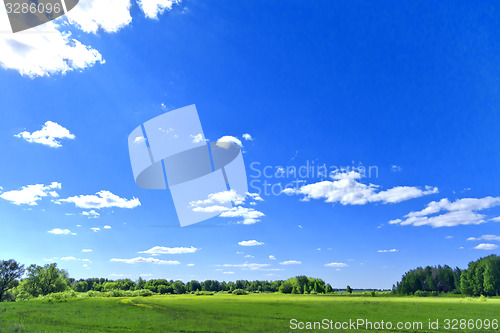 Image of summer landscape