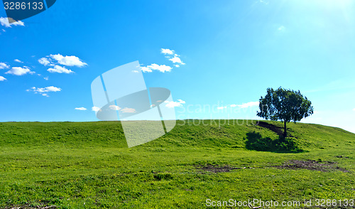 Image of summer landscape