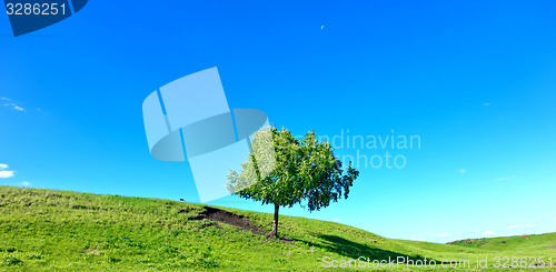 Image of summer landscape