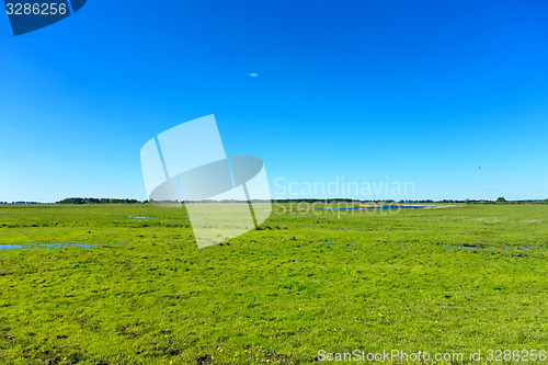 Image of summer landscape