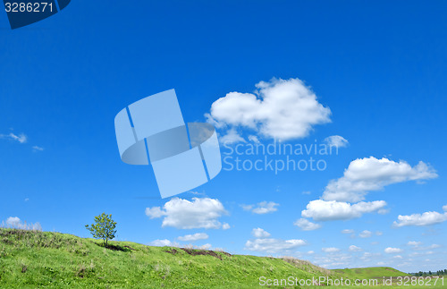 Image of summer landscape