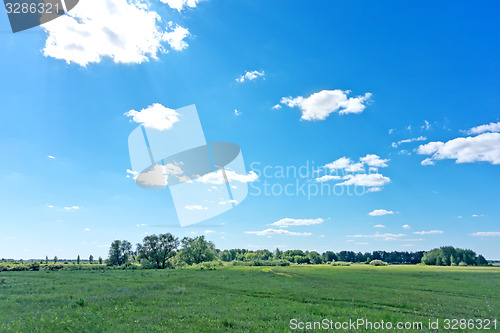 Image of summer landscape