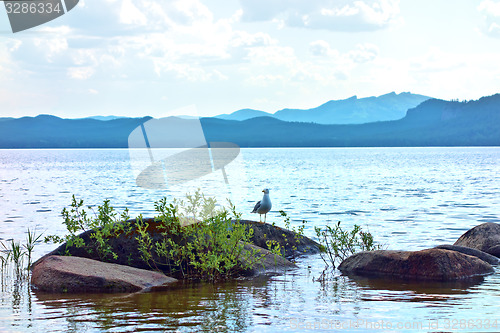 Image of beautiful lake