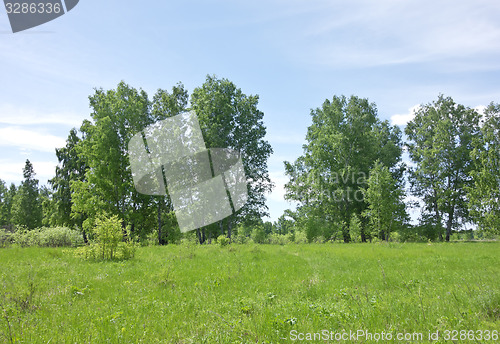 Image of summer landscape