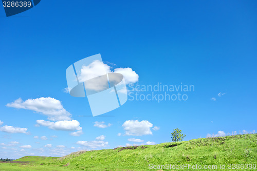 Image of summer landscape