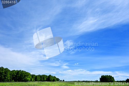 Image of summer landscape