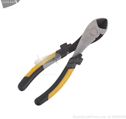 Image of Small toothed pliers isolated