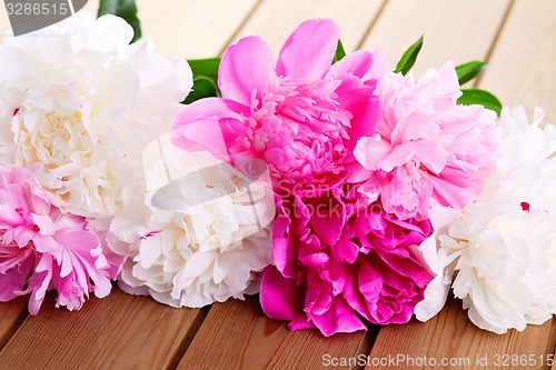 Image of peony