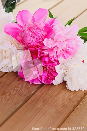 Image of peony