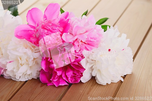 Image of peony