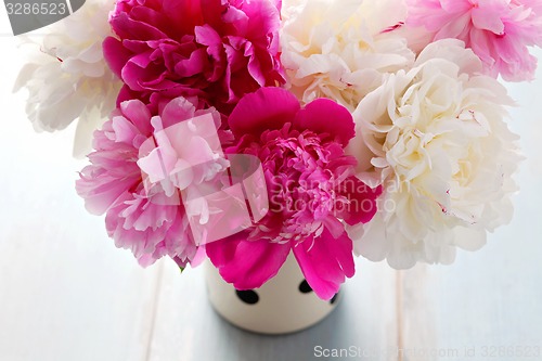 Image of peony