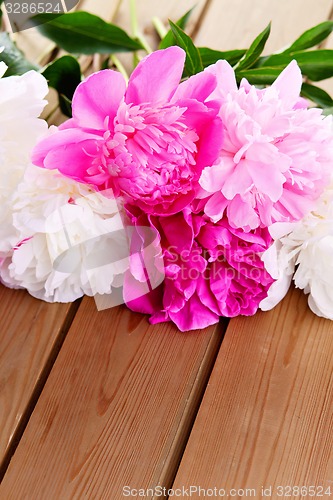 Image of peony