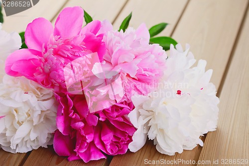 Image of peony