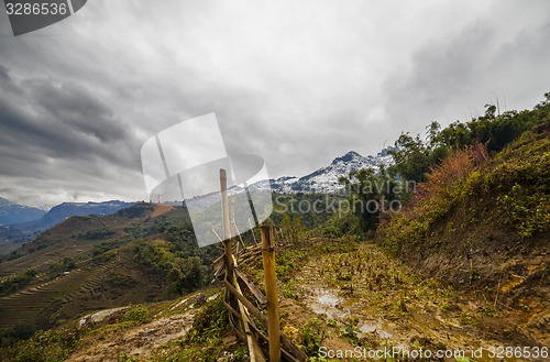 Image of Rice field terraces. Sapa Vietnam