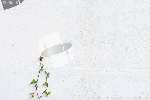 Image of Grungy white concrete wall background