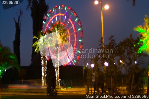 Image of City lights against  background of palm trees