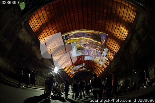 Image of Meerkats in the Argyle Tunnel - Life Story at Vivid Sydney