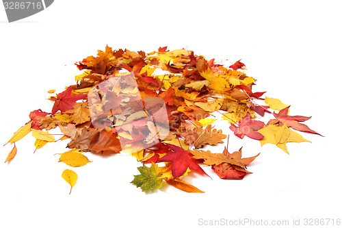 Image of autumn leaves background