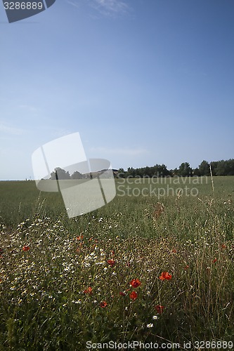 Image of fields