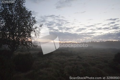 Image of misty morning