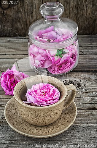 Image of tea rose