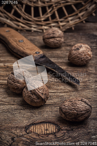 Image of walnut