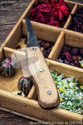 Image of medicinal herbs