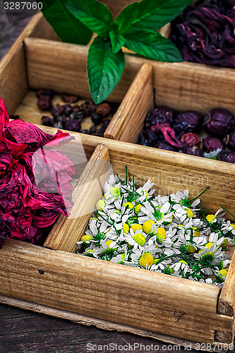 Image of medicinal herbs