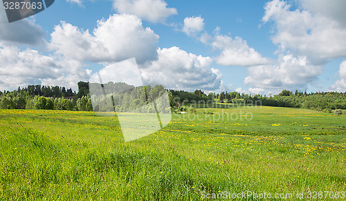 Image of summer landscape