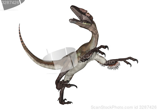 Image of Dinosaur Utahraptor