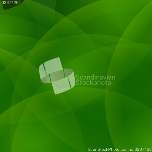 Image of Green Background