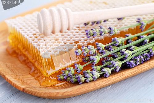 Image of honey comb