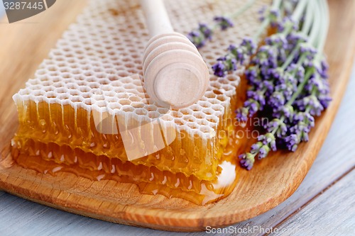 Image of honey comb