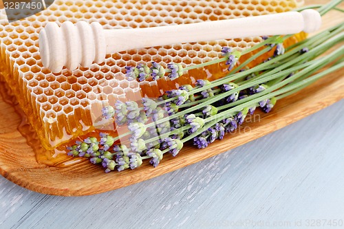 Image of honey comb