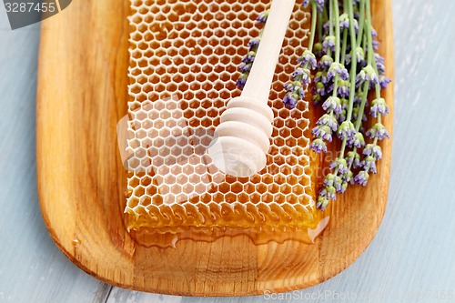 Image of honey comb