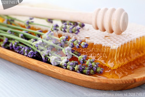 Image of honey comb