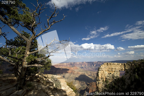 Image of The Grand Canyon