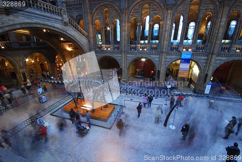 Image of A dino at the National History Museum