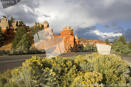 Image of Dixie National Forest
