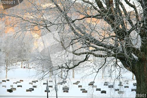 Image of Cemetery in winter