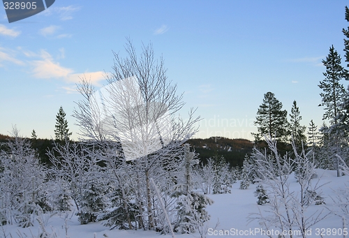 Image of Winter landscape