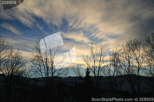 Image of Winter silhouette